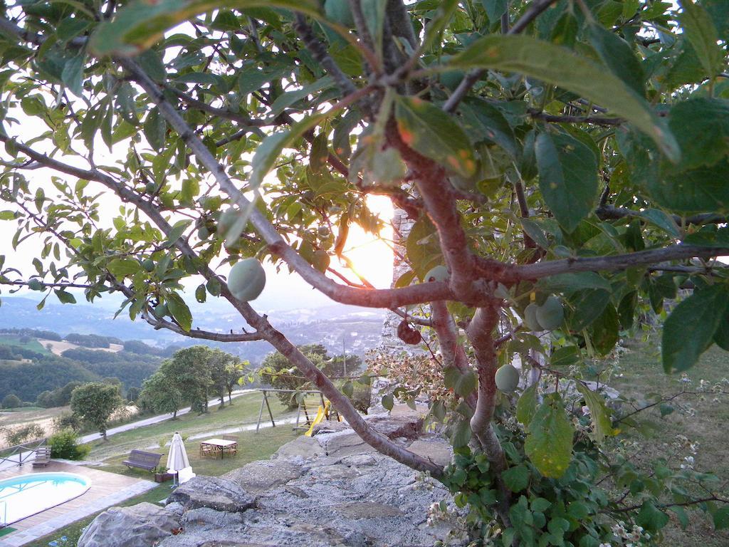 Agriturismo Borgo San Benedetto Vila Pietralunga  Exterior foto